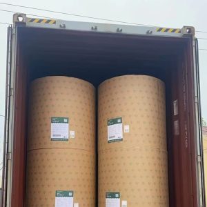 WhatsApp Image 2025-06-27 at 22.27.51