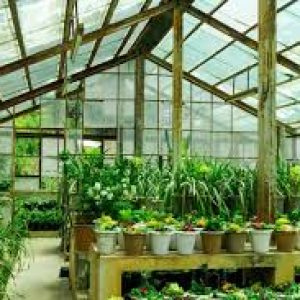 Green Houses